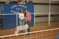 grand goat
