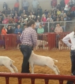 Ft Worth 2015