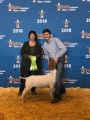 Brantley Houston2018