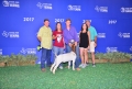 state fair