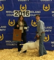 Midland