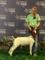 bailey state fair