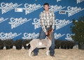 San Antonio stock show pic