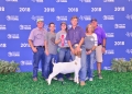 state fair2018