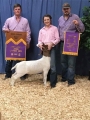 scurry grand 2017 Ferrett