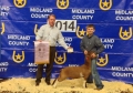 2014 Midland