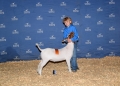 Austin Waylon Backdrop